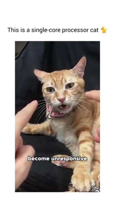 He needs linux 