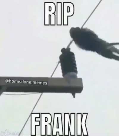 FRANK😭