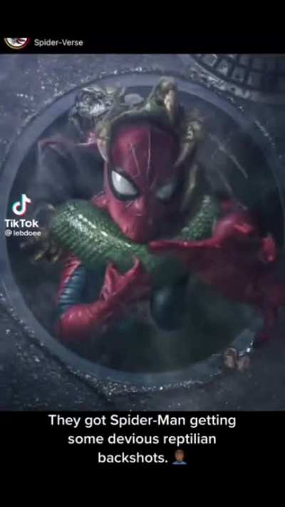 spider