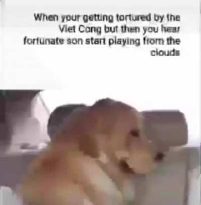 No Title Idea 😐