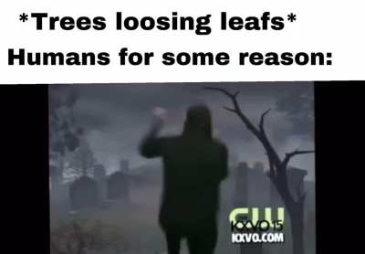 Me_irl