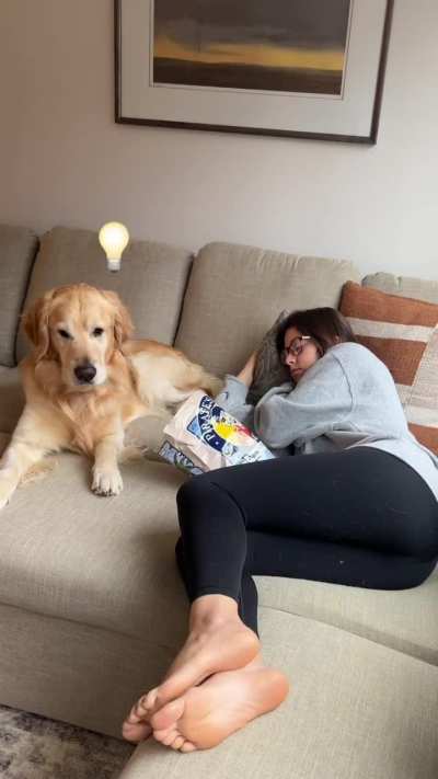 @goldenchilidog on IG