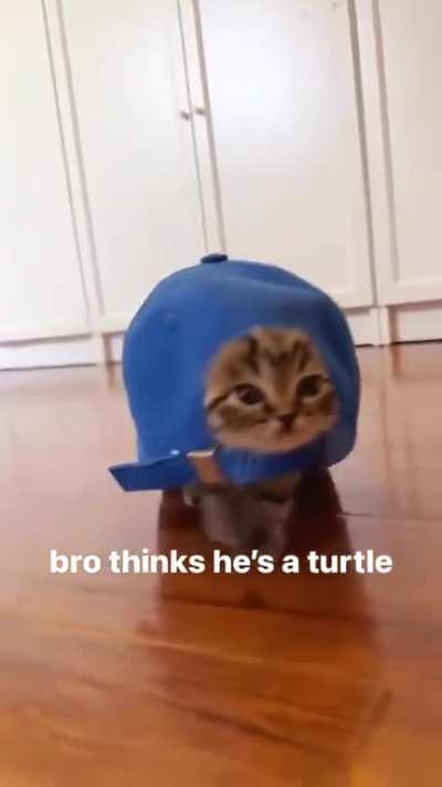 rule