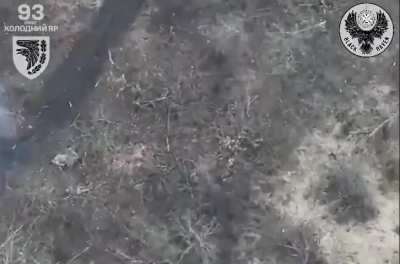 Efficient work of the "Black Raven" unit of the 93rd Separate Mechanized Brigade "Kholodny Yar". The pilot, with the help of one kamikaze drone, shortened the lives of two occupants in the Bakhmut direction at once.