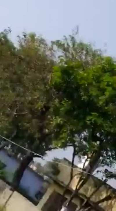 Easy peel