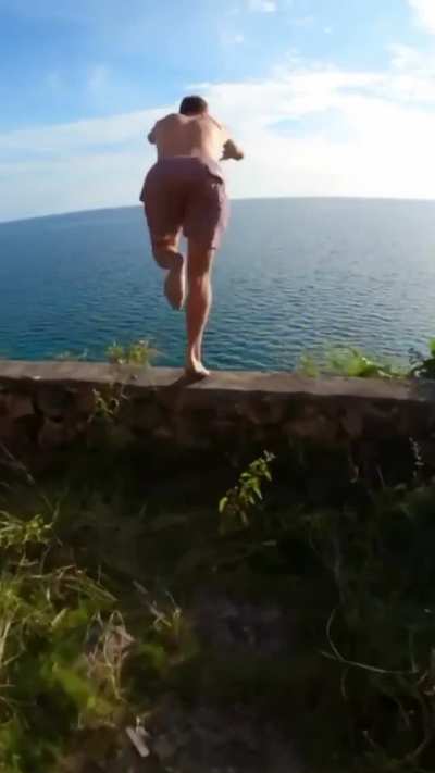 Cliff diving with a pal