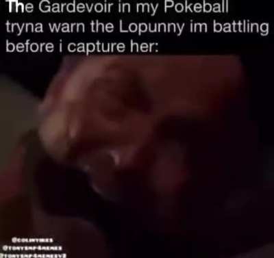 In celebration of the new pokemon game