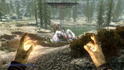 Perfectly Cut Skyrim