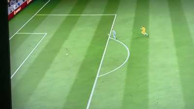 WTF Ederson