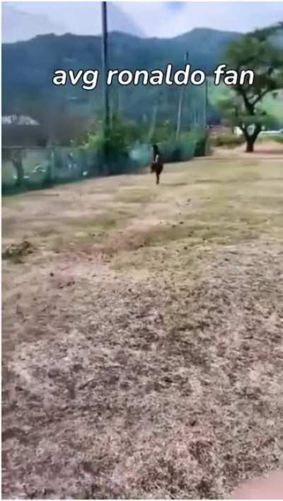 suka blyat
