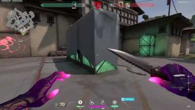 Reyna Ace w/ Guardian &amp;amp; Odin