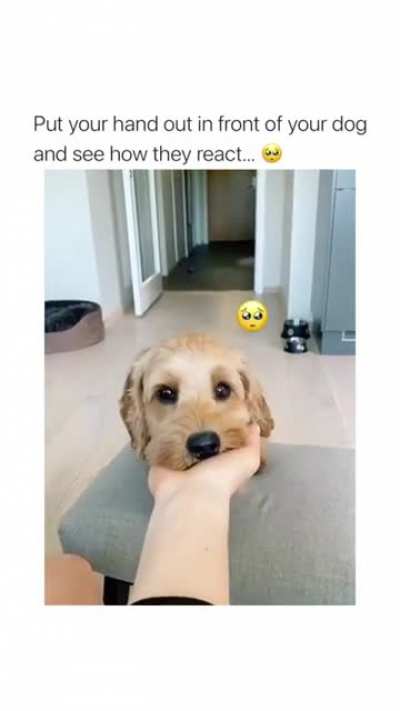 This made my day