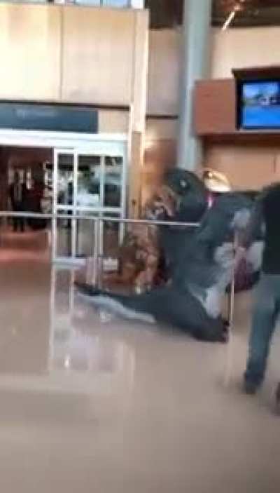 These grandkids planned to surprise grandma at the airport dressing as Raptors but she heard about it and planned her own surprise.