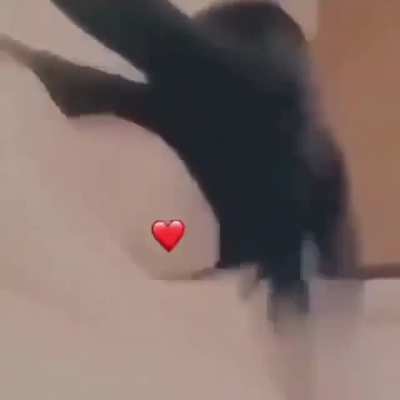 Şunu bulun beyler #1
