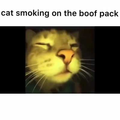 Boof 🤪