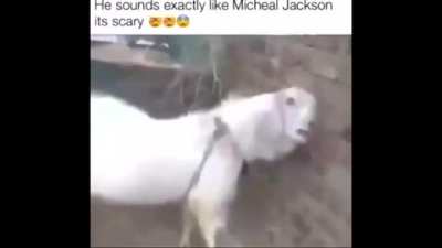 HOW