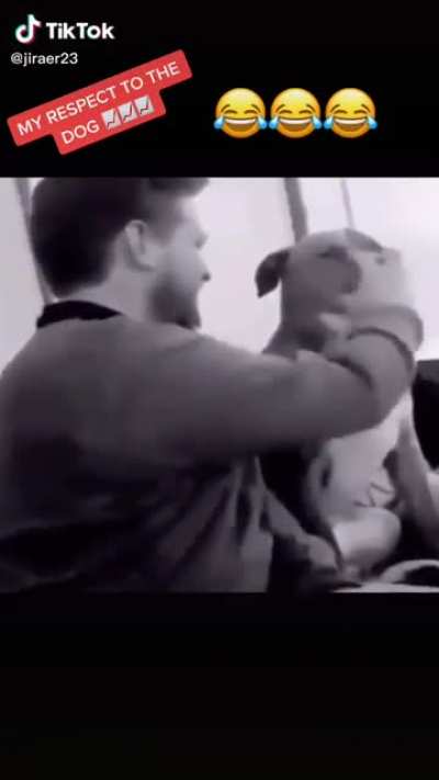 Respect to dog's