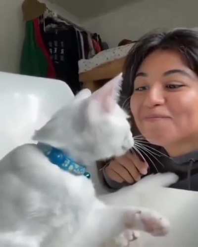 sIcK FuCk eAtS CaT