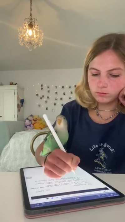 &ldquo;I want to write too!&rdquo;