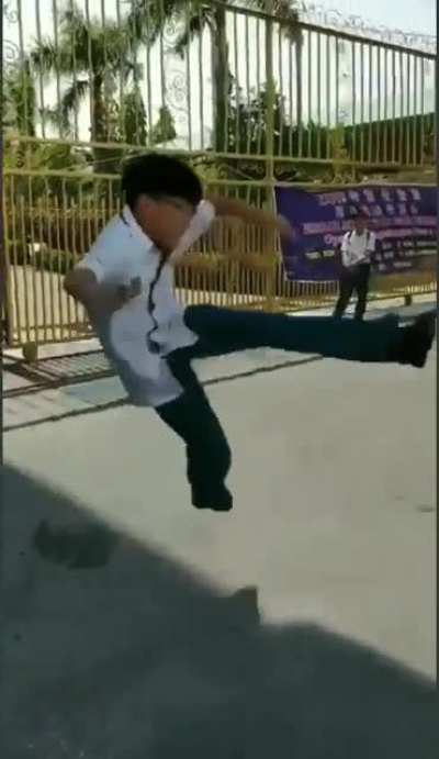 The legendary spinning dragon kick with backhand slash