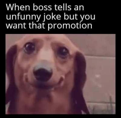 dead inside