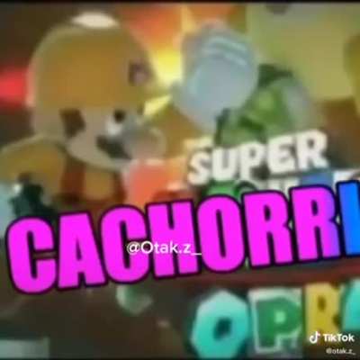 Quando voc&ecirc; ta puto com o arrombado do seu cachorro: