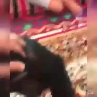 o.0
