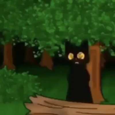 Arabic cat
