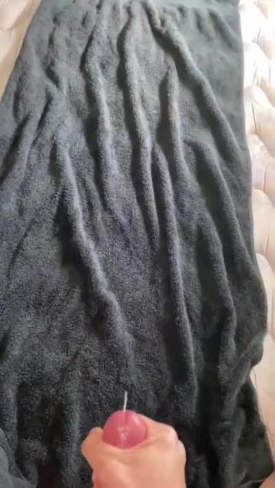 Shot off the bed