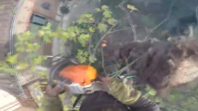 Guy cutting tree gets BURNED. Entire Tree Catches on FIRE while cutting it in the air.