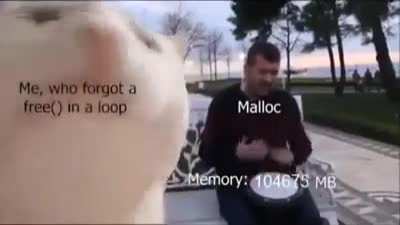 Me, who forget a free() in a loop