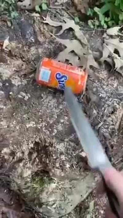 cake or soda