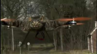 He turns his dead cat into a drone