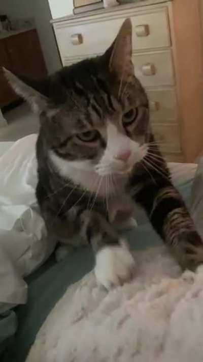 Mama, you&rsquo;re sick? Let me make you some fresh biscuits :)