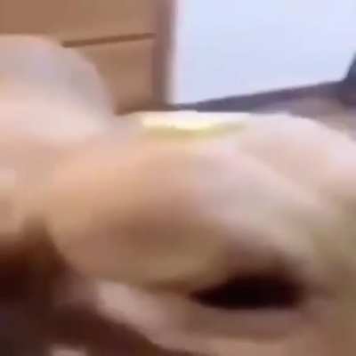 "Buttuh dahwg, Da Dahwg Wif Da Buttuh On Em"