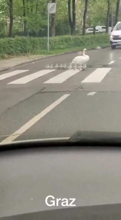 Den Kindern ein Vorbild!