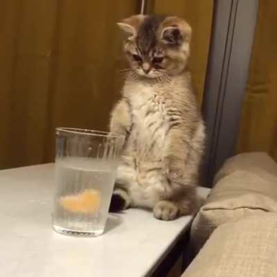 touch da lemon