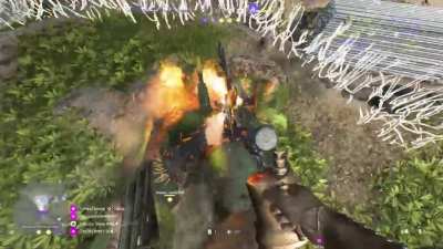 How to NOT use the hachi