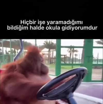 Monke