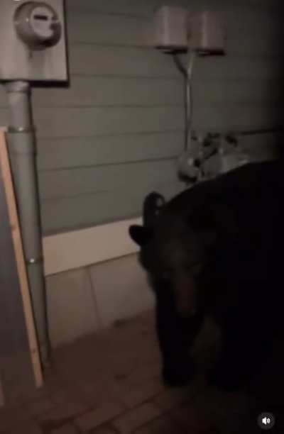 &ldquo;I think the pizza guy is here&hellip;&rdquo;