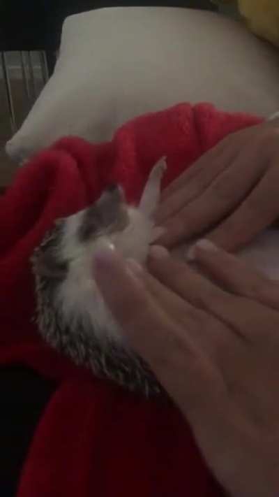 Belly Rubs!!!