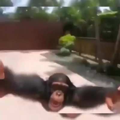 &amp;lt;3