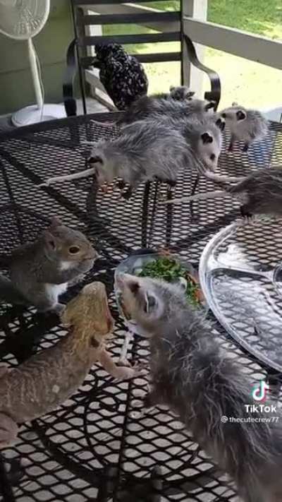 Found on Tic Tok