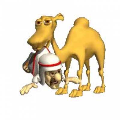 Funny camel GIF