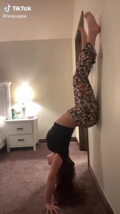 anyone know her new tiktok or instagram?