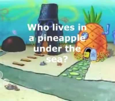 Could you guess it?