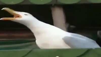 Gen 5 Music Hits To The Beat