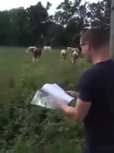 Ich9iel