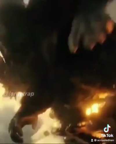 Okay now I&rsquo;m convinced, Kong is definitely gonna win