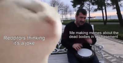 You fools